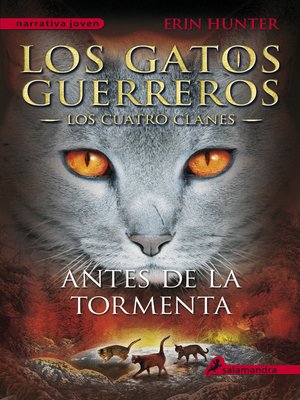 Antes de la tormenta - ebook